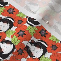 small guinea pigs and poppies on white