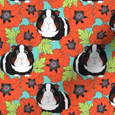 large guinea pigs and poppies on teal
