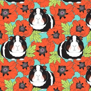 large guinea pigs and poppies on teal