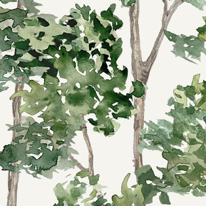 Watercolor leaves  Hall branches