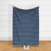 Large Pale Cerulean Awning Stripe Pattern Horizontal in Black