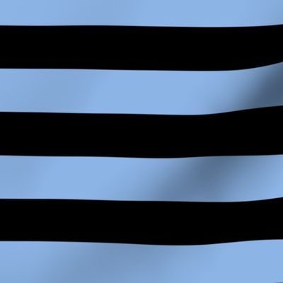 Large Pale Cerulean Awning Stripe Pattern Horizontal in Black