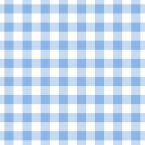 Gingham Pattern - Pale Cerulean and White