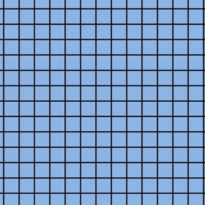 Grid Pattern - Pale Cerulean and Black