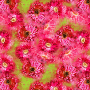pink daisies on lime