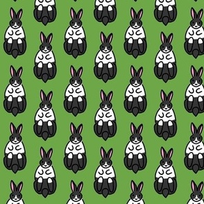 Rabbits_ Dutch  - Irresistible - GREEN