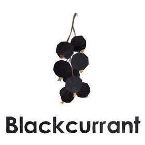 blackcurrant  - 6" panel