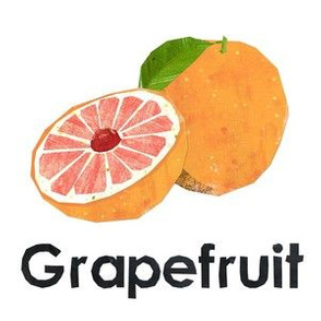 grapefruit - 6" panel