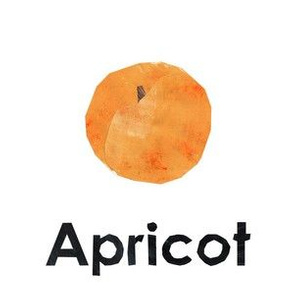 apricot - 6" panel