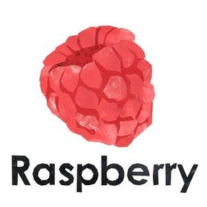 raspberry - 6" panel