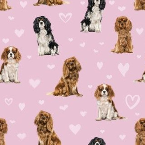 Cavalier King Charles Spaniel (Pink)