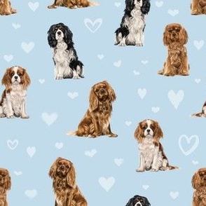 Cavalier King Charles Spaniel (Blue)