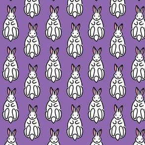 Rabbits_ White  - Irresistable - PURPLE