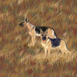 Two German Shepherd Dogs in a Brown Field for Pillow