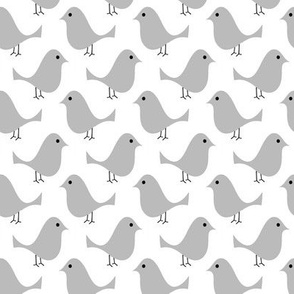 Small Grey Birds
