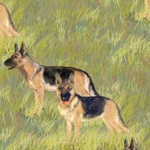 Two German Shepherd Dogs in a Green Field