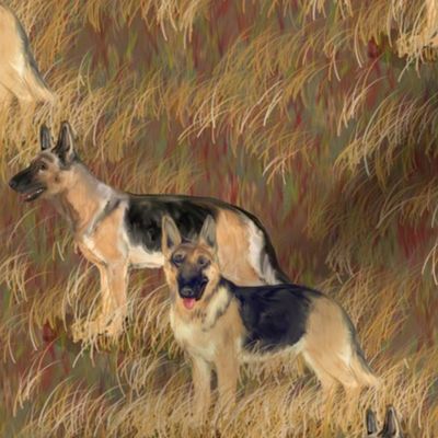 Two German Shepherd Dogs in a Brown Field