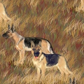 Two German Shepherd Dogs in a Brown Field