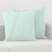 Solid Sea Foam Color - From the Official Spoonflower Colormap