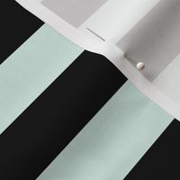 Large Sea Foam Awning Stripe Pattern Horizontal in Black