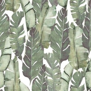 Vintage Banana Leaves