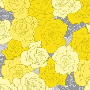 Yellow roses