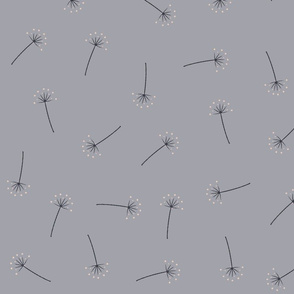 Dandelion Grey Background