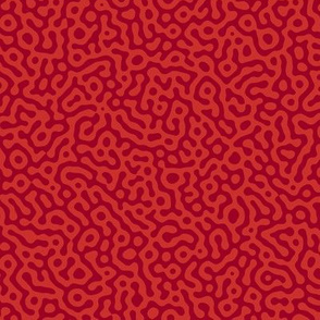 squiggle Turing pattern #7 - ruby reds