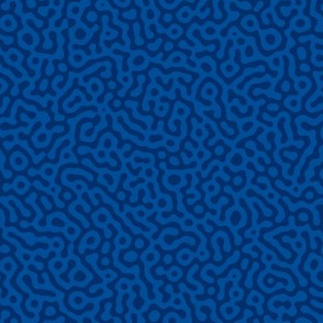 squiggle Turing pattern #7 - lakeside blues