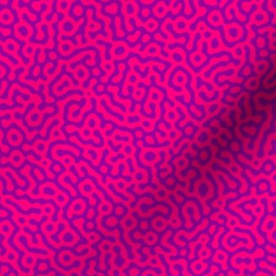 squiggle Turing pattern #7 - karmic hot pink and purple