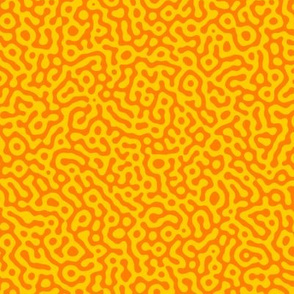 squiggle Turing pattern #7 - karmic yellow and orange
