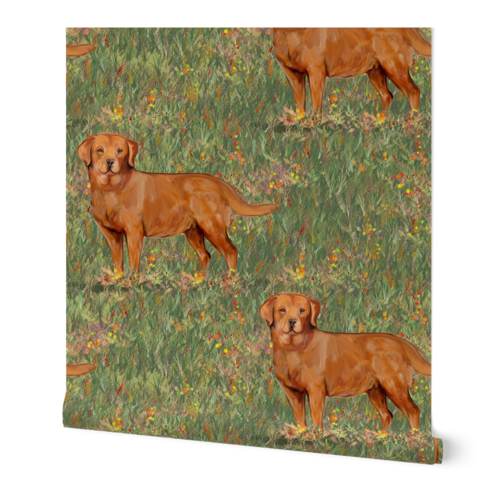 Fox Red Labrador Retriever in Wildflower Field