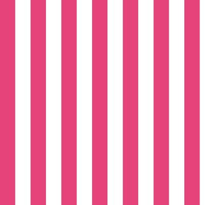 Raspberry Sorbet Awning Stripe Pattern Vertical in White