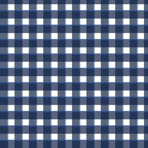 Plaids on Parade - Western Blue on White 