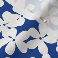 Frangipani blue flat