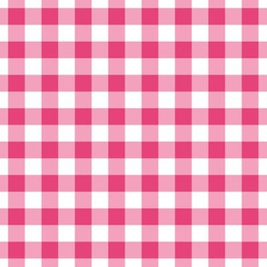 Gingham Pattern - Raspberry Sorbet and White