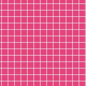 Grid Pattern - Raspberry Sorbet and White