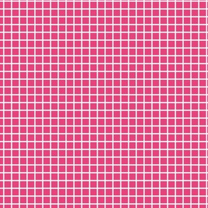 Small Grid Pattern - Raspberry Sorbet and White