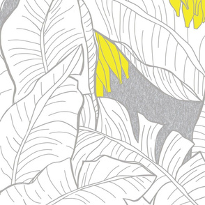 Tropical Banana Grove-grey line on white