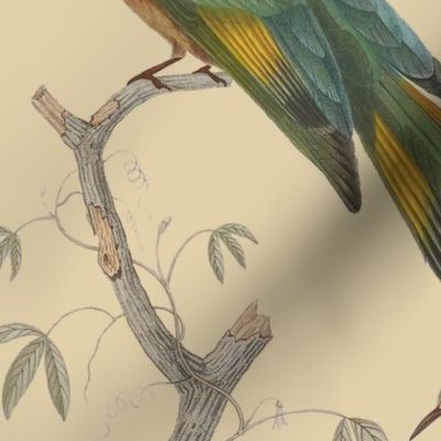 Chinoiserie of Illustrated Birds, large scale