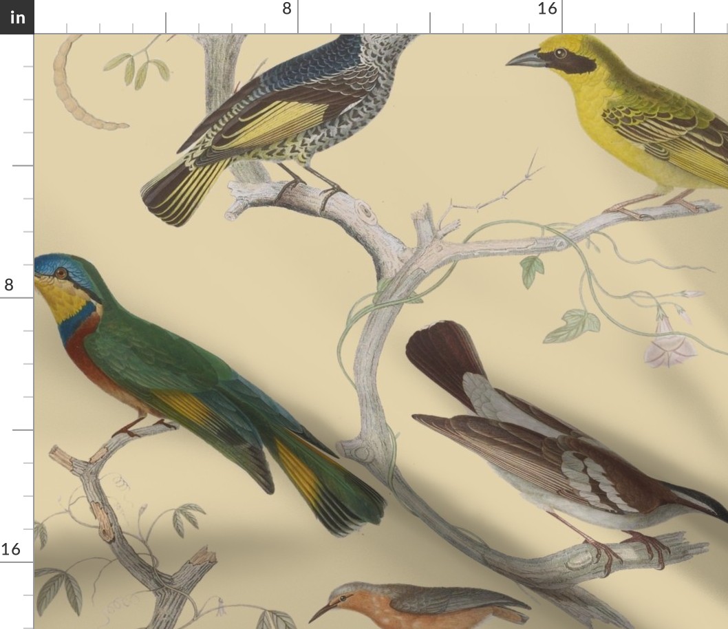 Chinoiserie of Illustrated Birds, large scale