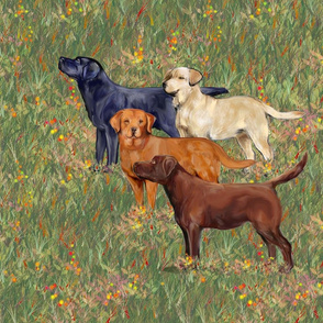 Four Colors of Labrador Retrievers for Pillow