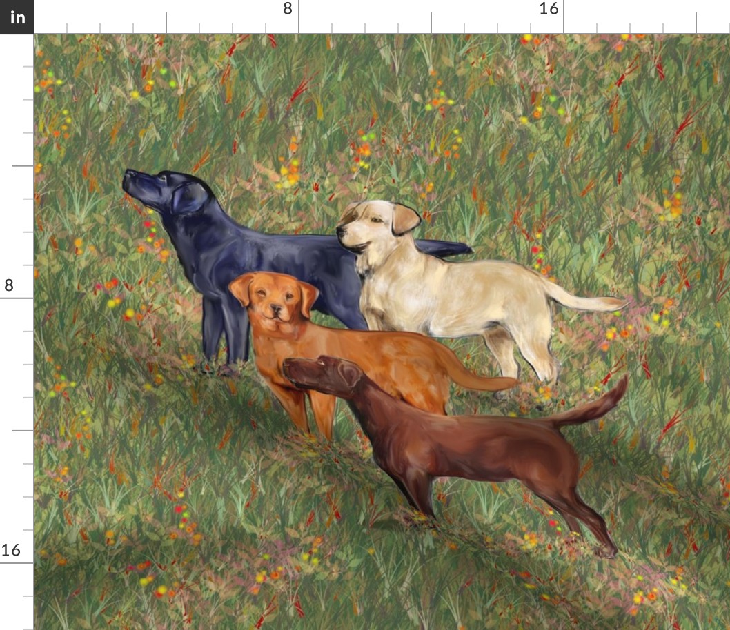 Four Colors of Labrador Retrievers for Pillow