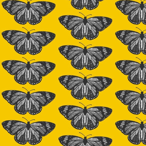 Yellow and Grey Butterflies 