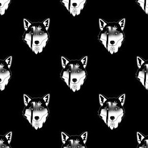 husky huskies siberia siberian dog dogs wolf wolves black white staggered folk metal Finntroll snow animal pet winter canine