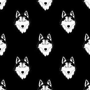 husky huskies siberia siberian dog dogs wolf wolves black white staggered snow animal pet  winter canine