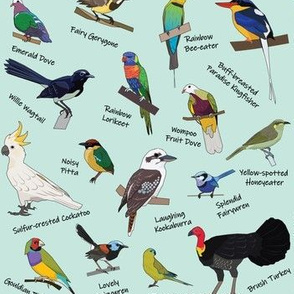 Australian Birds Green