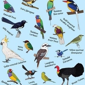 Australian Birds Blue