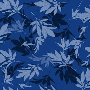 peony foliage blue