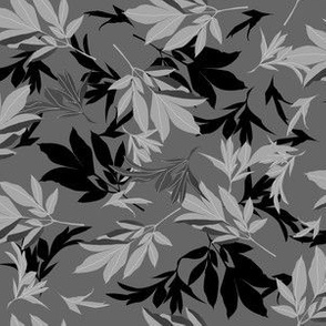 peony foliage gray